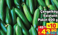 ÇENGELKÖY SALATALIK PAKET 500 G fiyat ve kampanya bilgisi